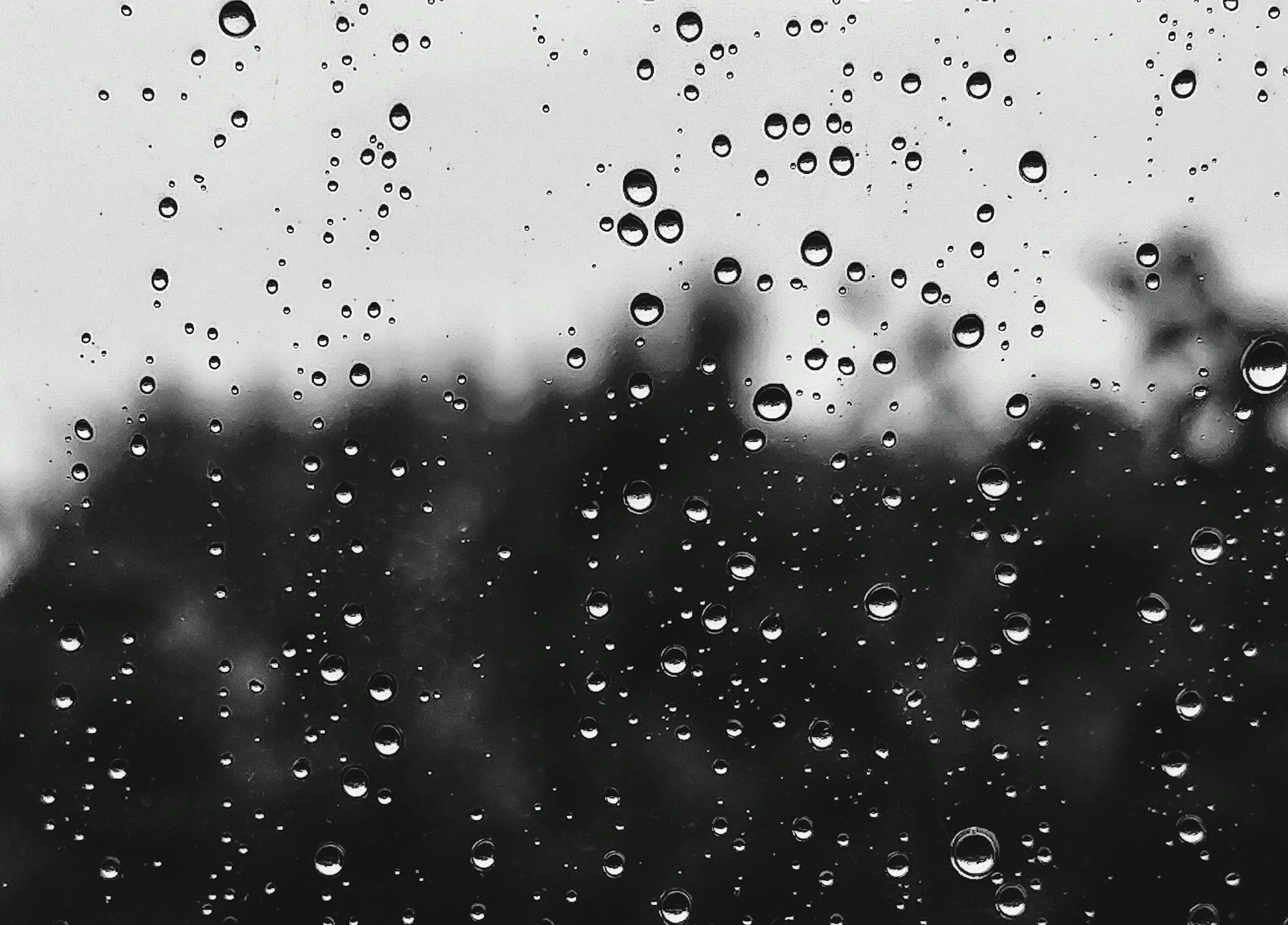 WARMTH BRINGS RAIN: Weekday forecast: March 2-6