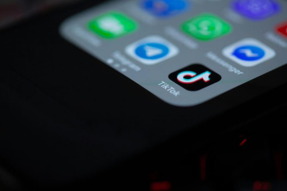 As TikTok ban is delayed yet again, Ottawa County businesses fret over lost influence post image
