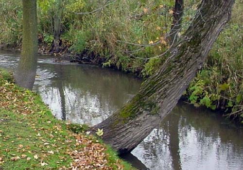 Politics infiltrates Ottawa County conservation board election as officials urge residents to vote post image