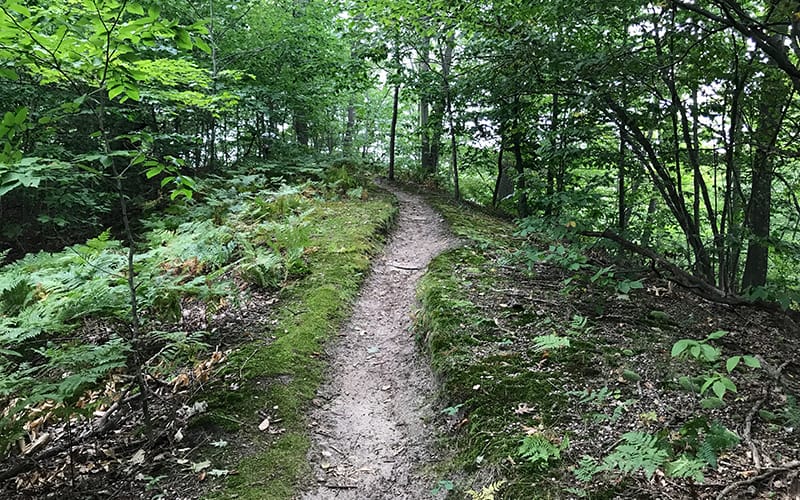 Settlement agreement poised to expand North Ottawa Dunes post image