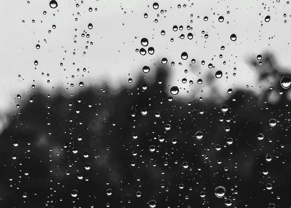 WARMTH BRINGS RAIN: Weekday forecast: March 2-6 post image