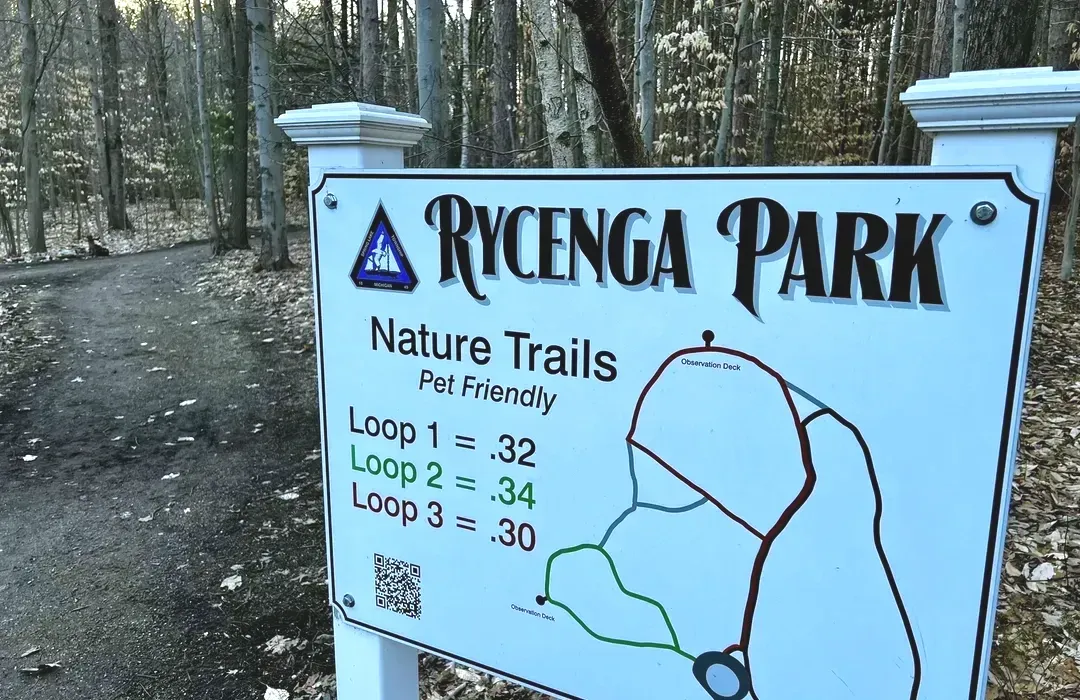 Rycenga Park to include permanent security camera system to enhance safety