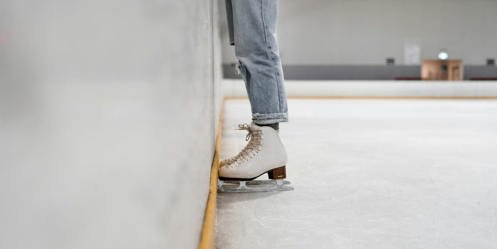 Holland, Hudsonville ice rinks set for multi-million dollar facelift with new ownership post image