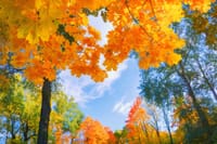 Bill Steffen's weekend forecast: Oct. 24-26 post image