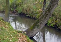 Politics infiltrates Ottawa County conservation board election as officials urge residents to vote post image