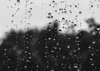 WARMTH BRINGS RAIN: Weekday forecast: March 2-6 post image