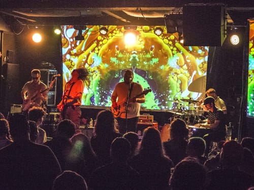 Michigan’s Jammie Awards poised to rev things up with diverse 20-act lineup post image