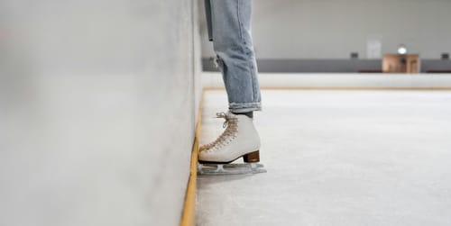 Holland, Hudsonville ice rinks set for multi-million dollar facelift with new ownership post image