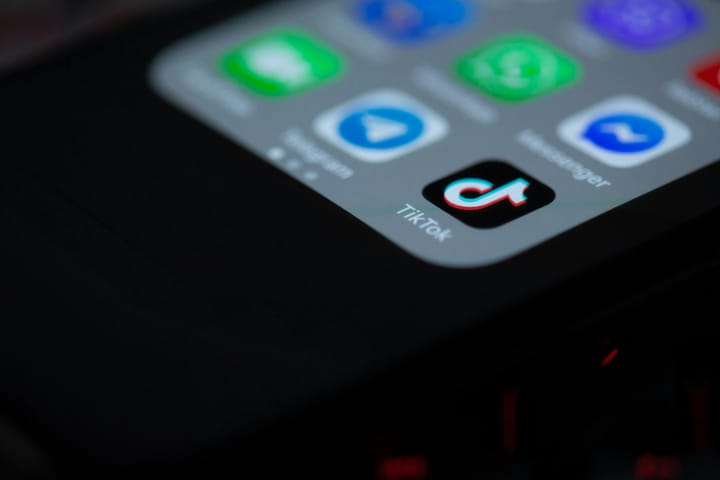 As TikTok ban is delayed yet again, Ottawa County businesses fret over lost influence