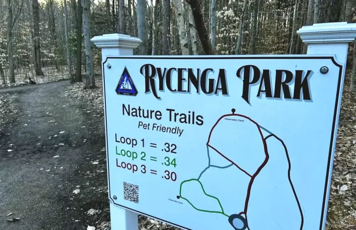 Rycenga Park to include permanent security camera system to enhance safety
