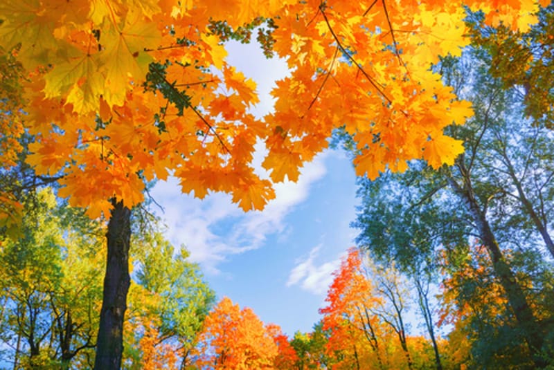 Bill Steffen's weekend forecast: Oct. 24-26 post image