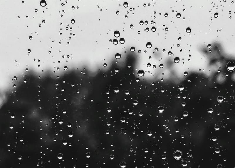 WARMTH BRINGS RAIN: Weekday forecast: March 2-6 post image